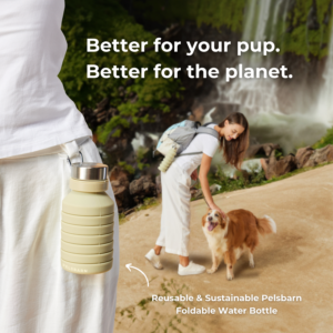 Alternative view of Foldable Water Bottle
