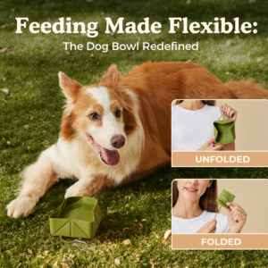 Alternative view of Foldable Travel Bowl