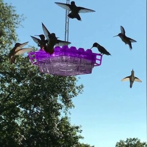 Ant-Proof Hummingbird Feeder