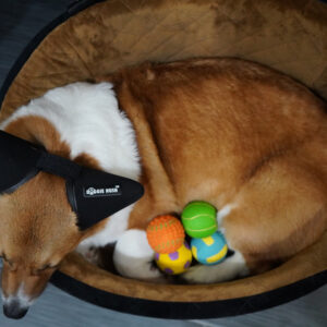 Alternative view of Squeaky Fetch Balls