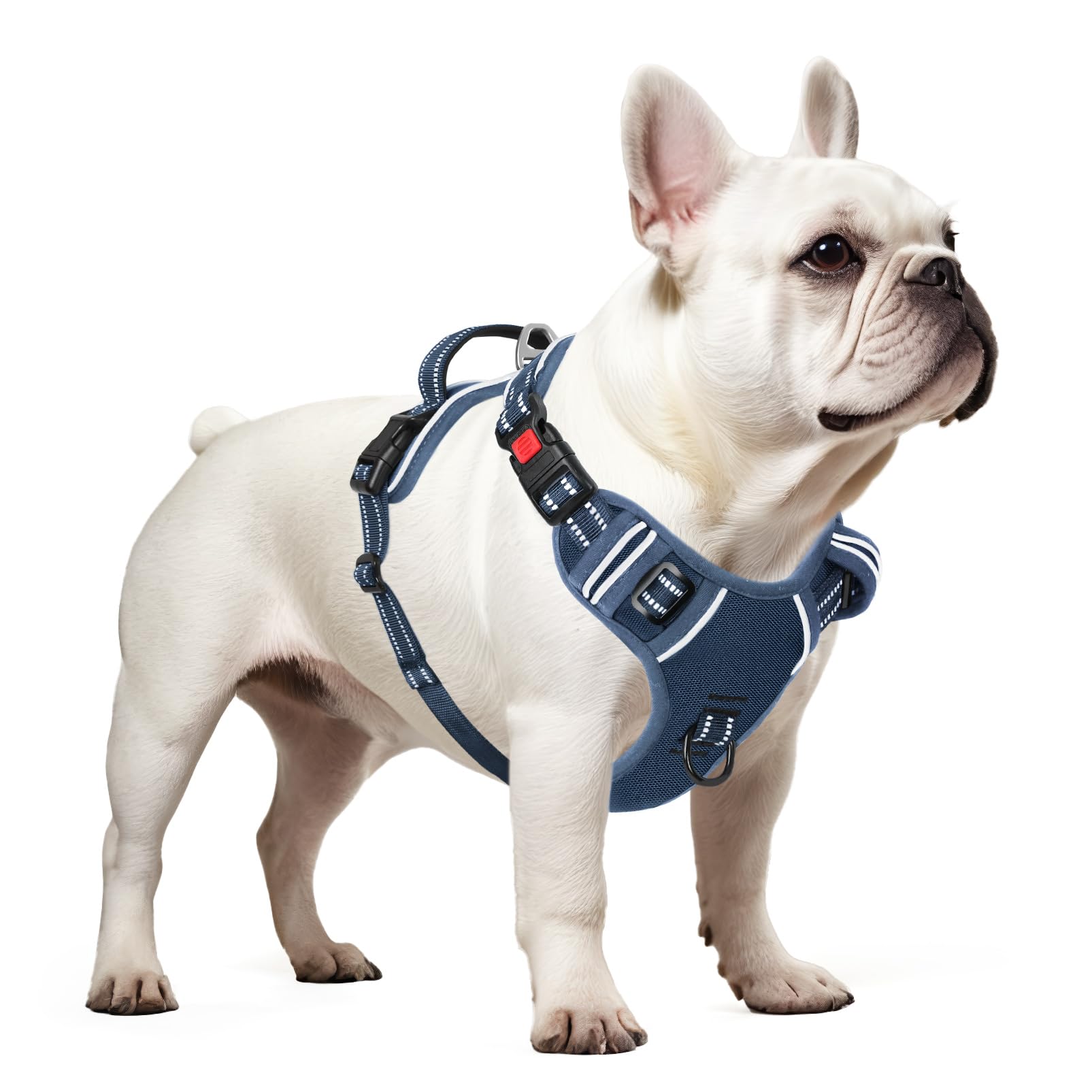 Timos Dog Harness Small Sized, No Pull Pet Harness with Neck Lockable Snap,No Choke Front Clip Dog Reflective Vest,Adjustable Me