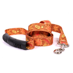 Alternative view of Fall Leaves Dog Leash