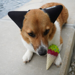 Alternative view of Ice Cream Cone