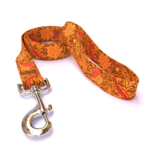 Fall Leaves Dog Leash