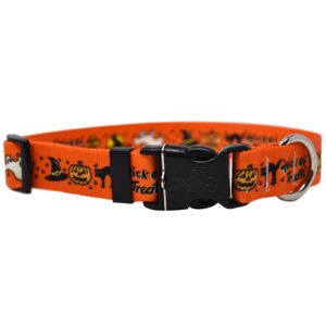Alternative view of Trick or Treat Dog Collar